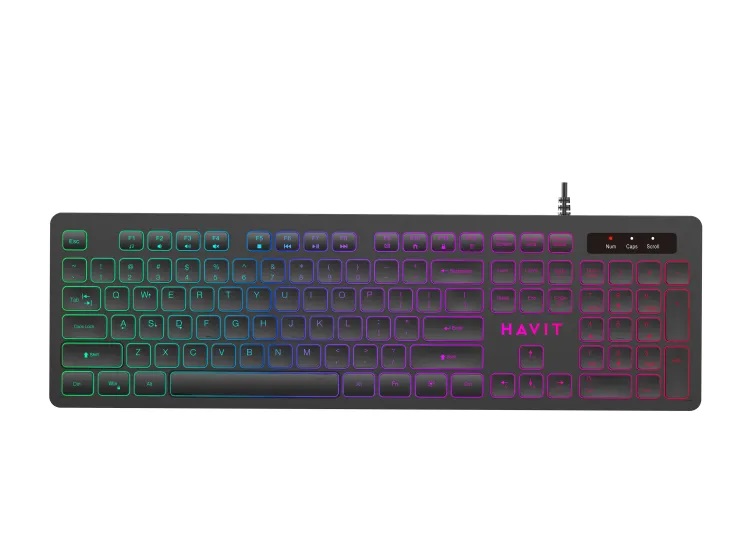 HAVIT KB660L USB Multi-Function Backlit Keyboard